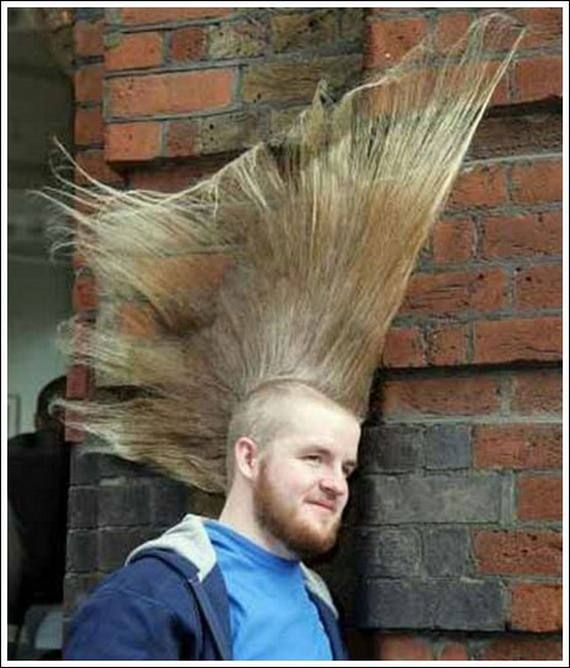 Odd Haircuts (17 pics)