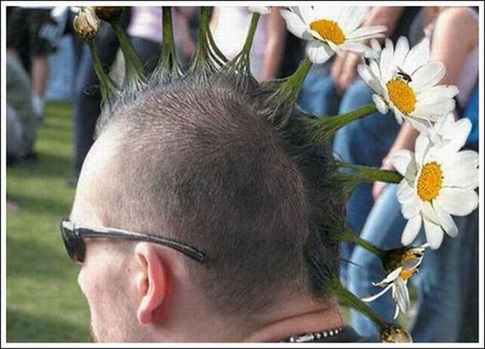 Odd Haircuts (17 pics)