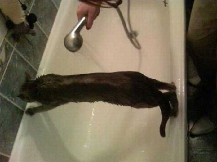 Acid Picdump (134 pics)