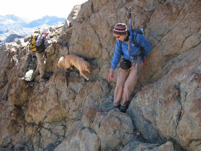 Acid Picdump (134 pics)