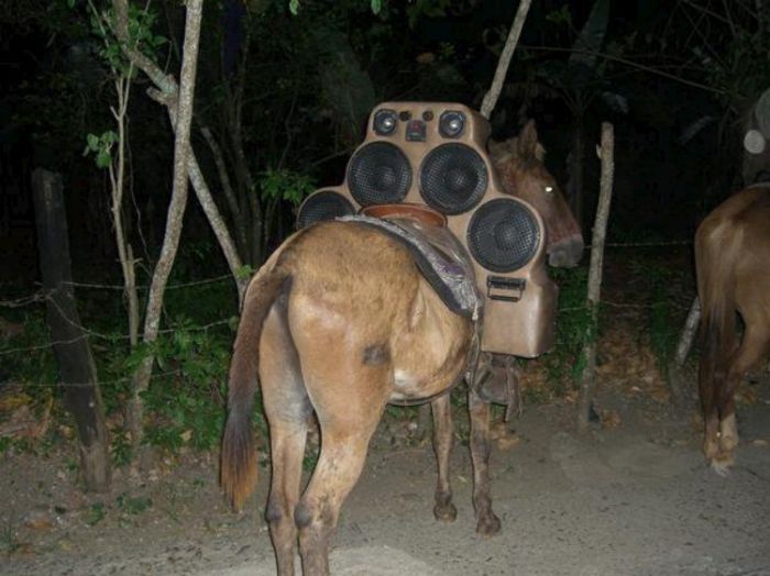 Acid Picdump (134 pics)