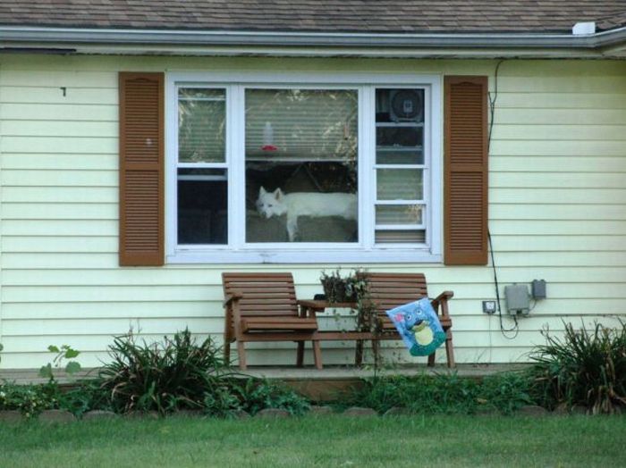 Acid Picdump (134 pics)
