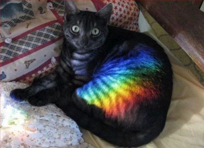 Acid Picdump (134 pics)