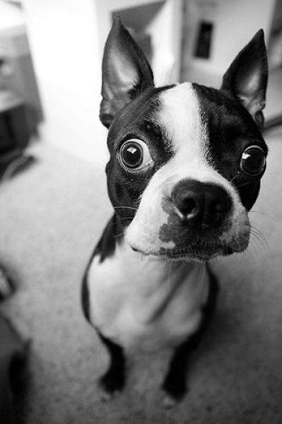 Acid Picdump (134 pics)