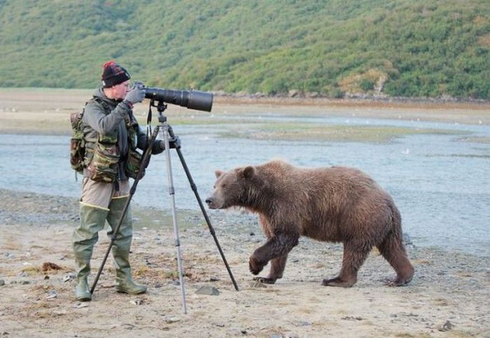 Acid Picdump (134 pics)