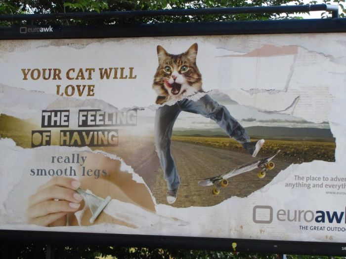 Acid Picdump (134 pics)
