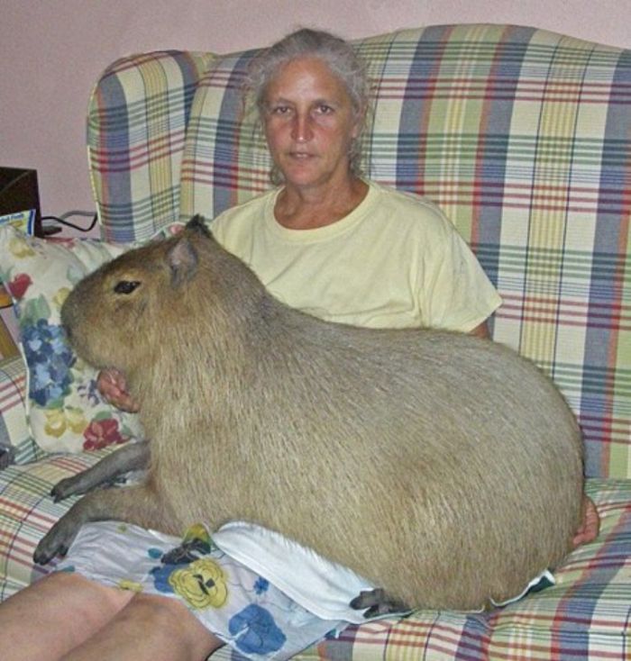 Acid Picdump (134 pics)