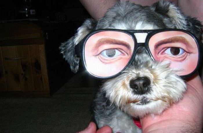 Acid Picdump (134 pics)