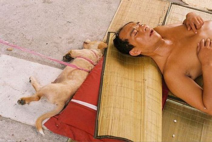 Acid Picdump (134 pics)