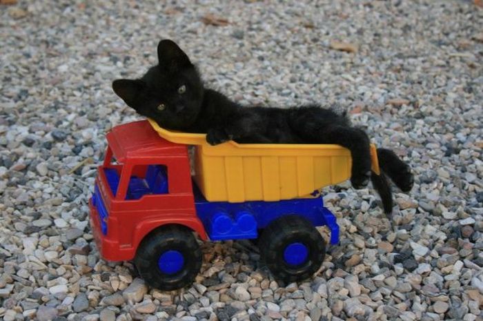 Acid Picdump (134 pics)