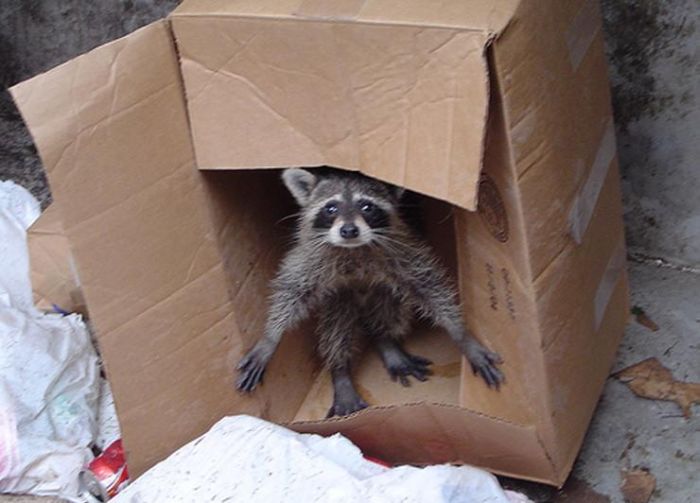 Acid Picdump (134 pics)