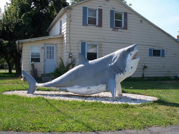 Acid Picdump (134 pics)