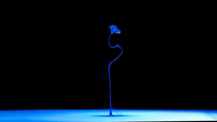 Aqua Artist and His Splash of Art (10 pics)