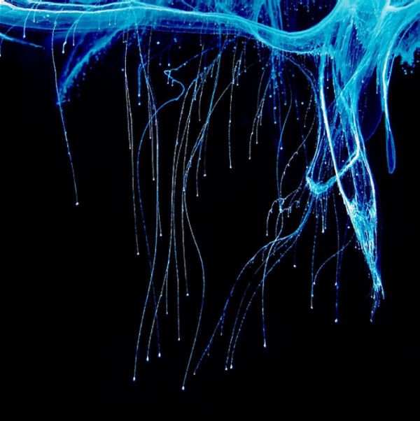 Aqua Artist and His Splash of Art (10 pics)