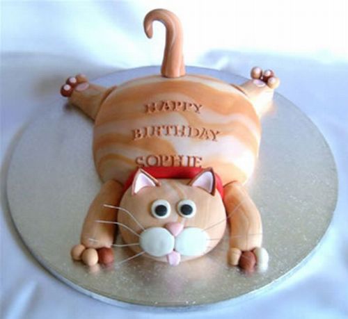 Cat Cakes (16 pics)