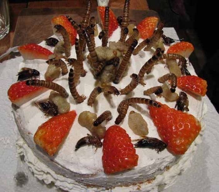 Disgusting Cake (2 pics)