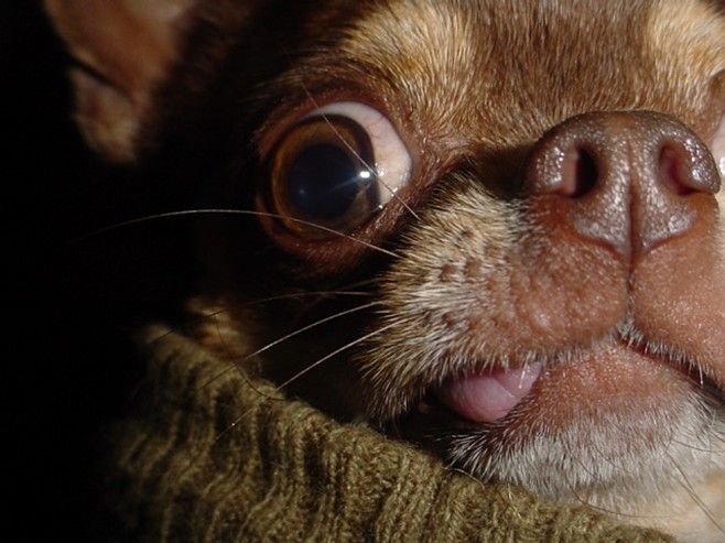 Acid Picdump (138 pics)