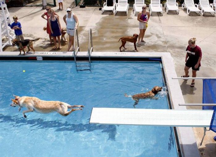 Acid Picdump (138 pics)