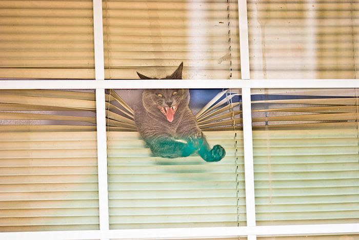 Acid Picdump (138 pics)