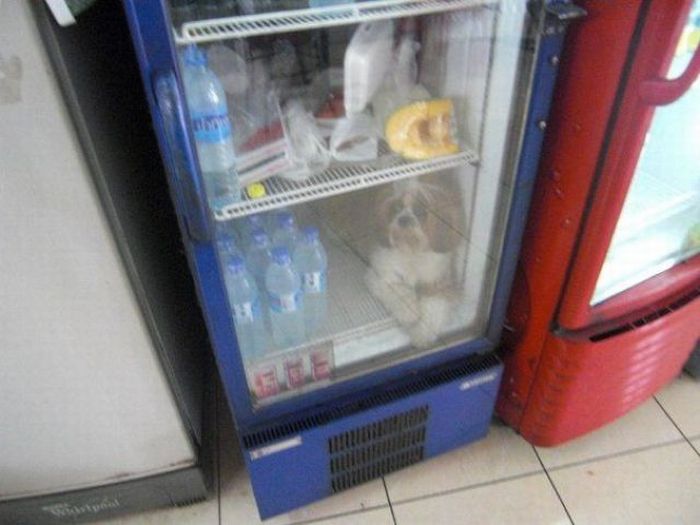 Acid Picdump (138 pics)