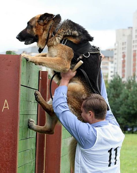 Acid Picdump (138 pics)