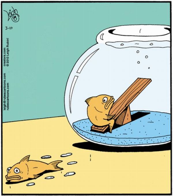 Acid Picdump (138 pics)