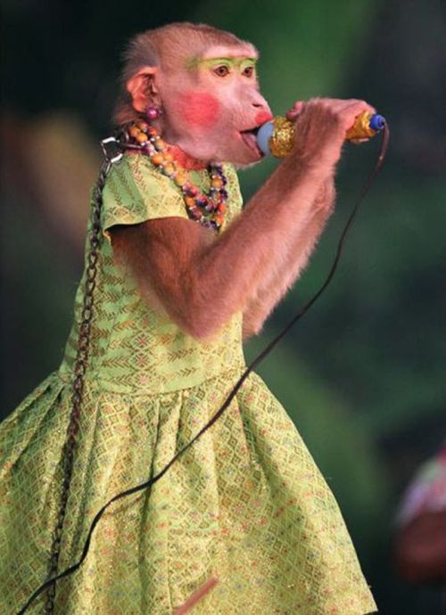 Acid Picdump (138 pics)