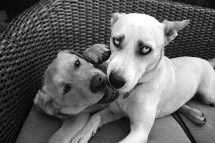 Acid Picdump (138 pics)