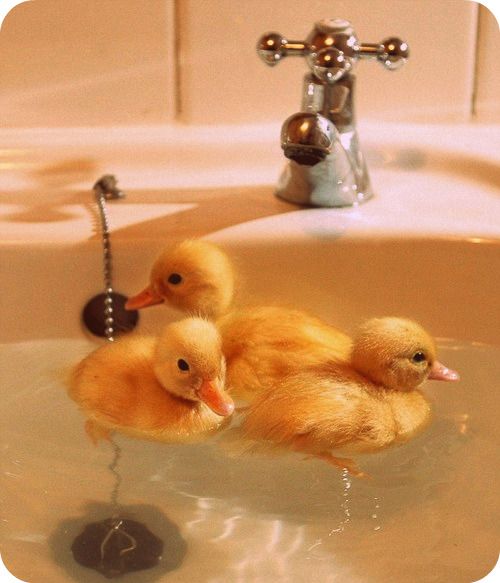 Acid Picdump (138 pics)