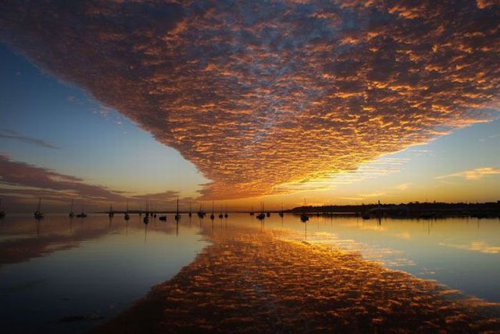 Acid Picdump (138 pics)