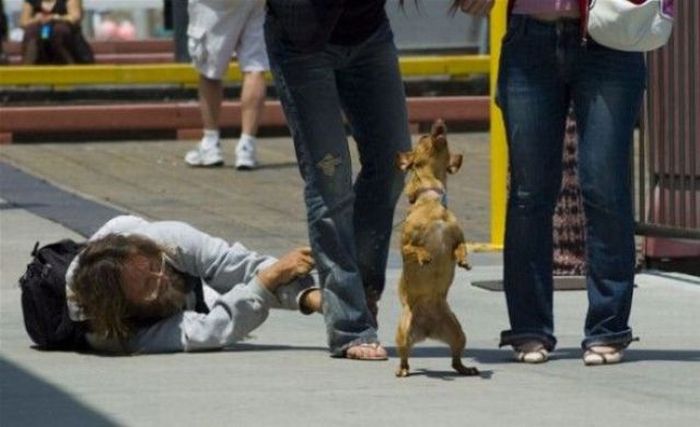 Acid Picdump (138 pics)