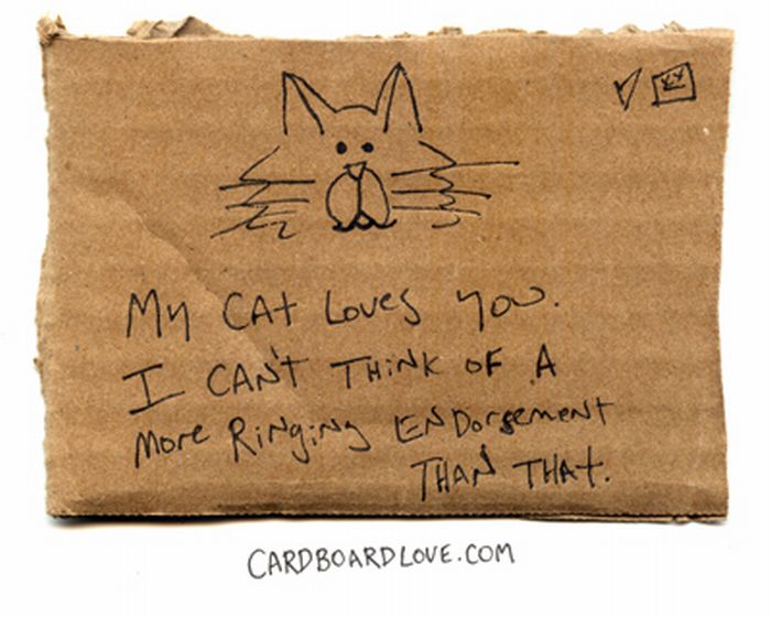 Cardboard Love (88 pics)
