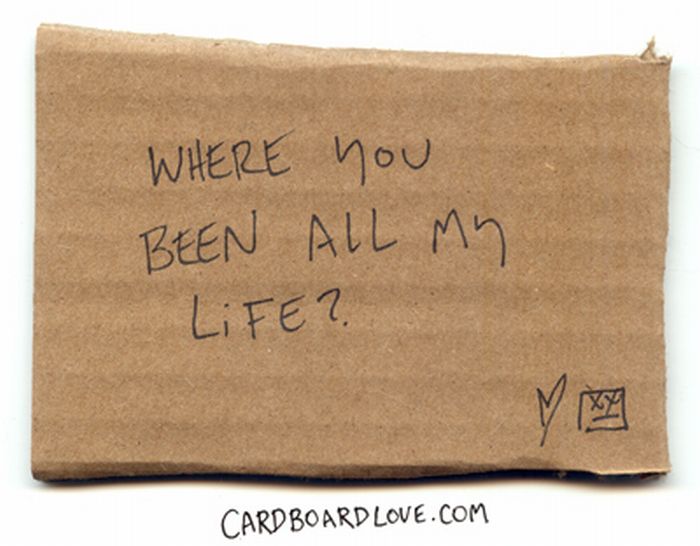 Cardboard Love (88 pics)