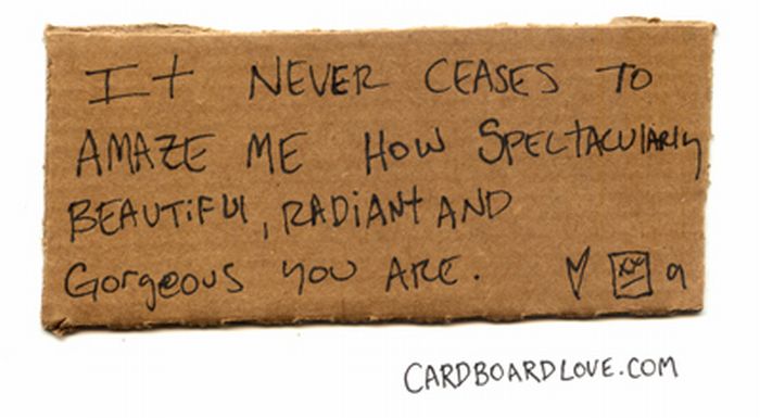 Cardboard Love (88 pics)