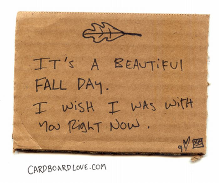 Cardboard Love (88 pics)