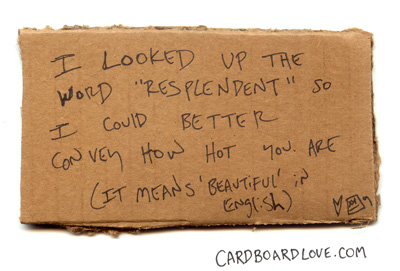 Cardboard Love (88 pics)