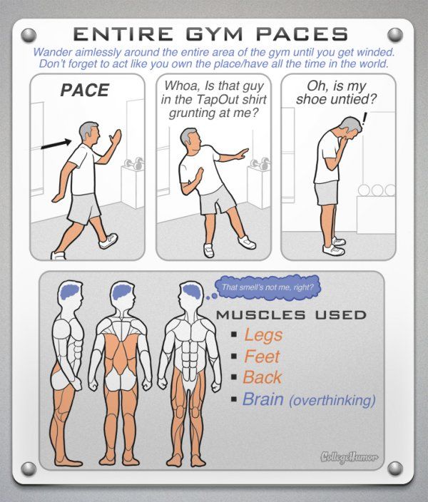 Realistic Gym Workout Diagrams (7 pics)