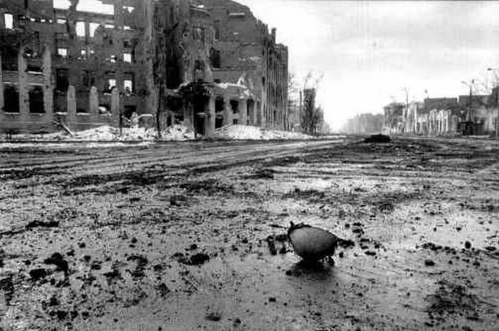 This is War (80 pics)