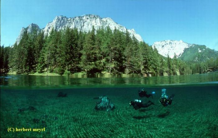 Beautiful Underwater Meadow (28 pics + 1 video)