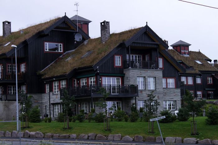 Roofs in Norway (12 pics)