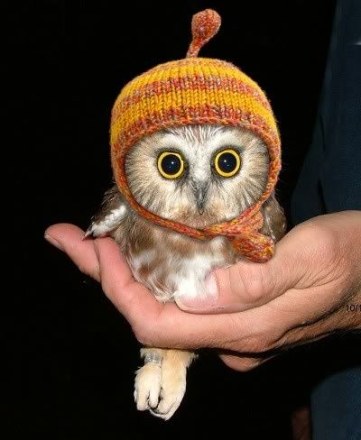 Acid Picdump (134 pics)