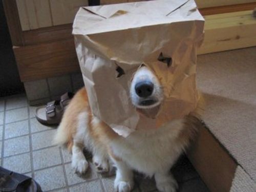 Acid Picdump (134 pics)