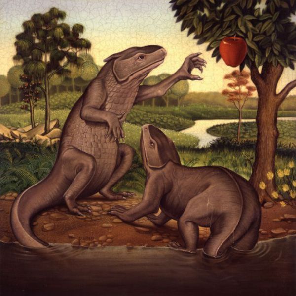 Acid Picdump (134 pics)