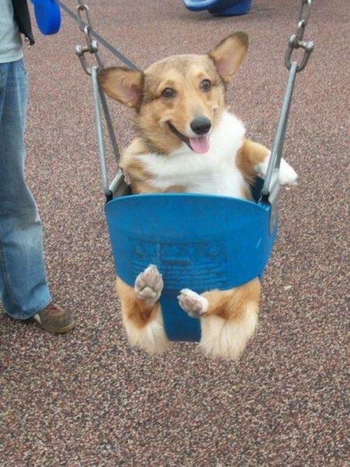 Acid Picdump (134 pics)