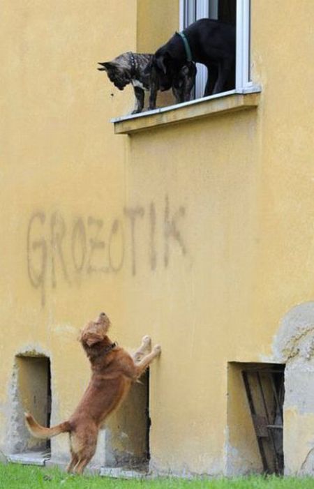 Acid Picdump (134 pics)