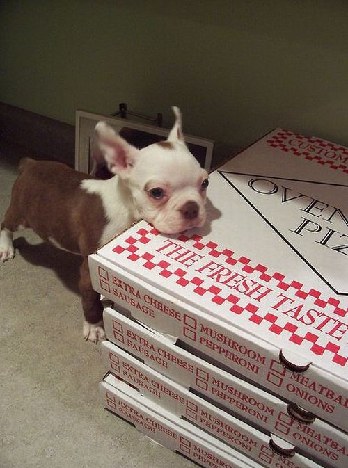 Acid Picdump (124 pics)