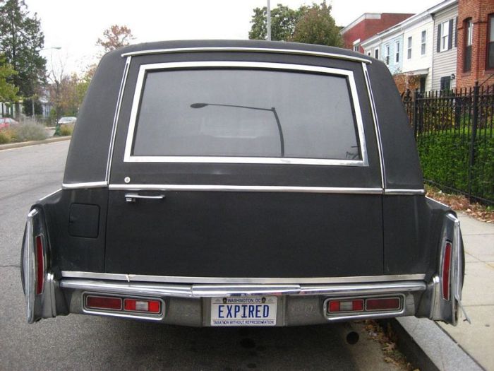 Acid Picdump (124 pics)