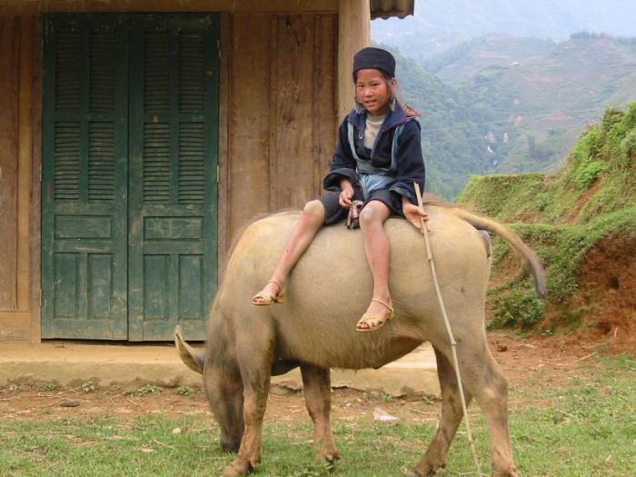 Acid Picdump (124 pics)