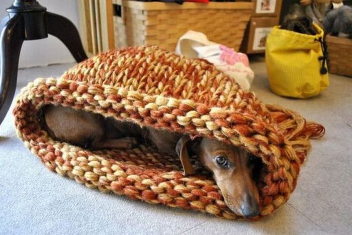 Acid Picdump (124 pics)