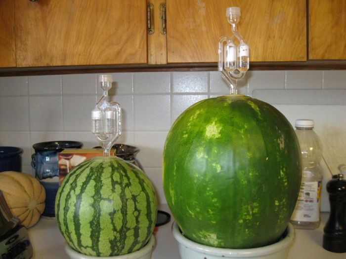 Acid Picdump (124 pics)